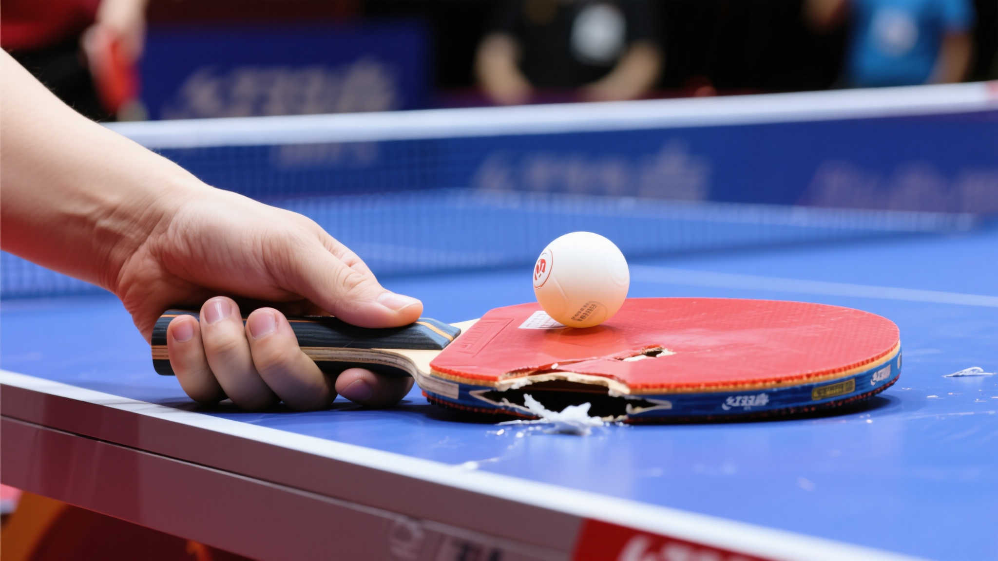 球队管理层 球队管理层